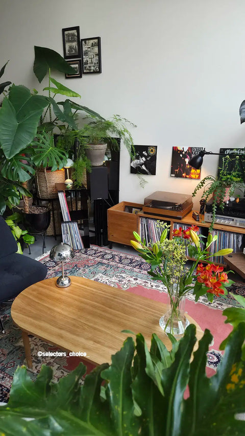 Le Pied Vinyles Noir