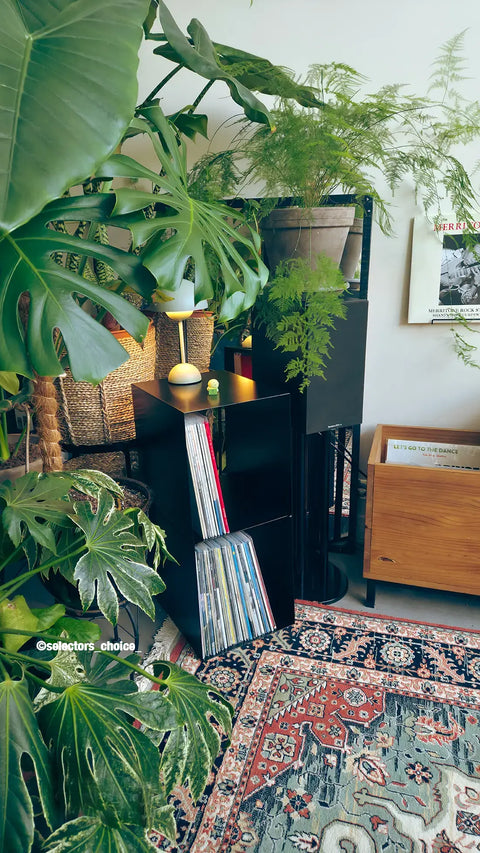Le Pied Vinyles Noir